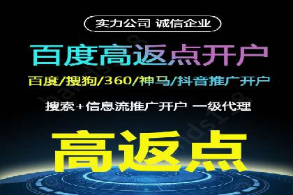 竞价排名案例：优化广告预算分配